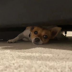 奶头被快递员咬得又红又肿
